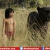 The Jungle Book: Disney Releases The Trailer Of Upcoming Live-Action Venture