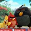 Angry Birds Movie Trailer Launched, Here's Release Date, Characters & Details