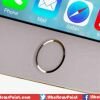 iPhone 8 Release Date in 2018 3D Images, Projector, Flexible OLED Display, More Specifications, Features