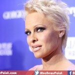 Pamela Anderson Will Seen In Politics after Angelina Jolie
