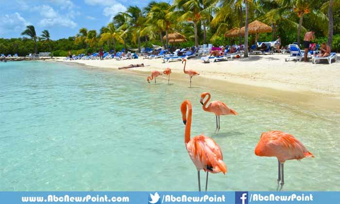 Top-10-Most-Beautiful-Wedding-Places-In-The-World-Aruba