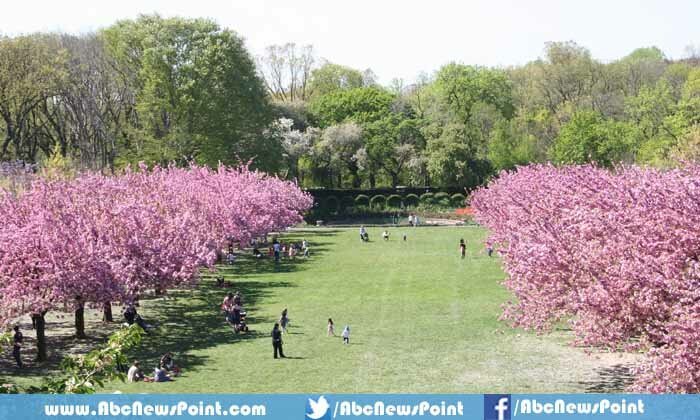 Top-10-Most-Beautiful-Wedding-Places-In-The-World-Brooklyn-Botanic-Garden