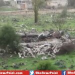 Syria Al-Nusra Front Destroyed The Tomb Of The 13 Century