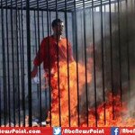 Islamic State Burnt 45 to Death in Seized Iraqi Town of Al-Baghdadi