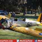 Harrison Ford Wounded in Plane Crash, Being Treated and Out of Danger