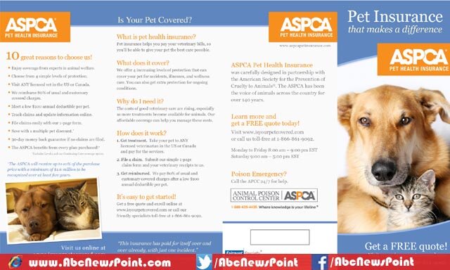 Top-10-Best-Pet-Insurance-Reviews-of-2015-ASPCA-Insurance-Review