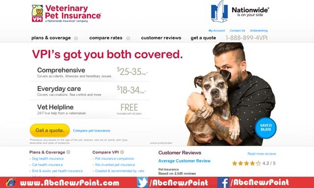 Top-10-Best-Pet-Insurance-Reviews-of-2015-VPI-Pet-Review
