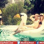 Bikini-Clad Taylor Swift Enjoys Rides an Inflatable Bird with Boyfriend Calvin Harris in Swimming Pool