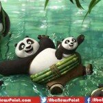 Kung Fu Panda 3 First Look; Here comes Po’s Fiancée Mei Mei, Cast, Release Date