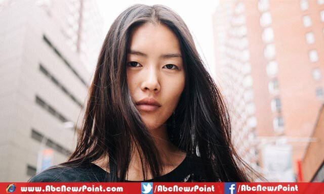 Top-10-World-Most-Beautiful-and-Highest-Paid-Models-in-2015-Liu-Wen