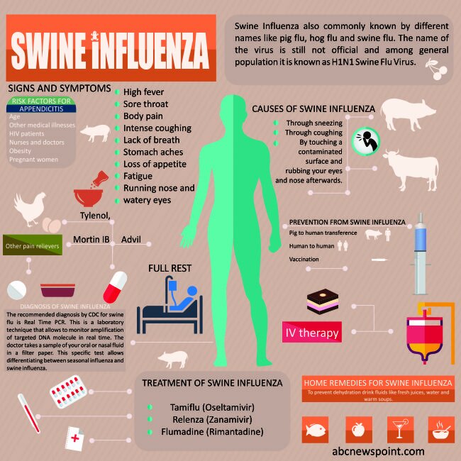 SWINE INFLUENZA2