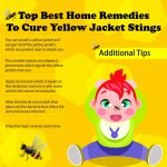 Top Best Home Remedies To Cure Yellow Jacket Stings